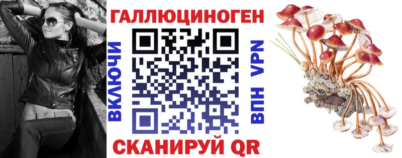 Купить где Ленск Галлюциногенные грибы прущие грибы